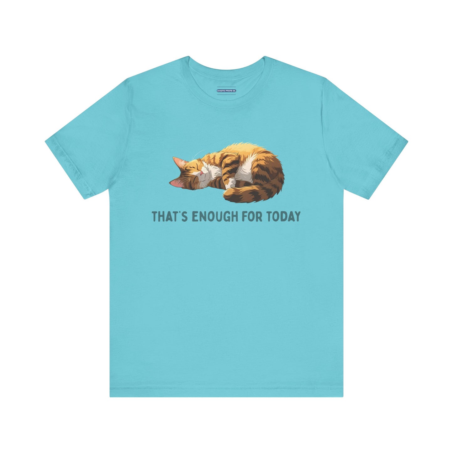 Cozy Cat Nap Tee | Had Enough for the Day!