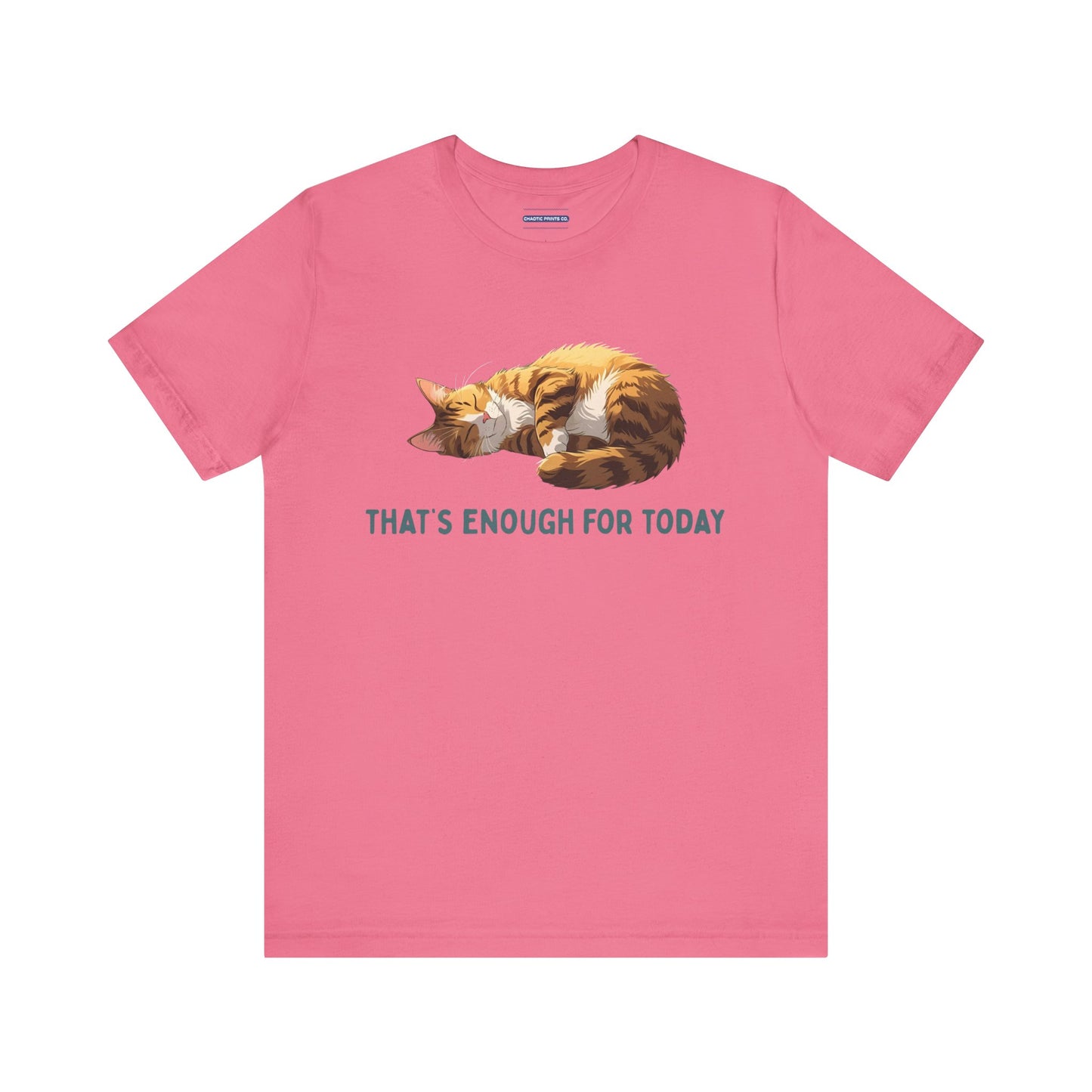 Cozy Cat Nap Tee | Had Enough for the Day!