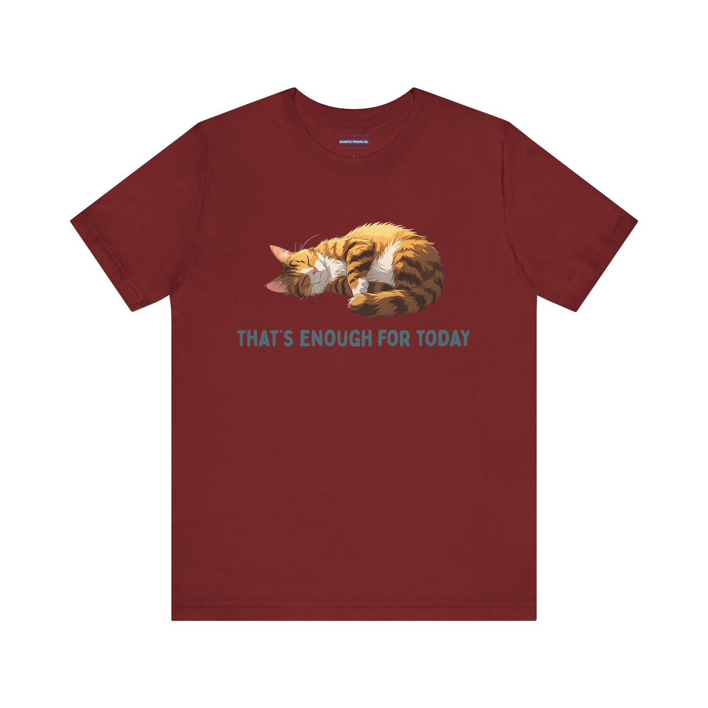 Cozy Cat Nap Tee | Had Enough for the Day!